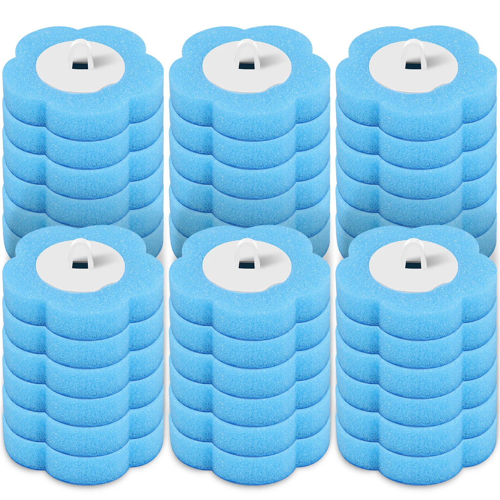 Disposable Toilet Cleaning System and Refills