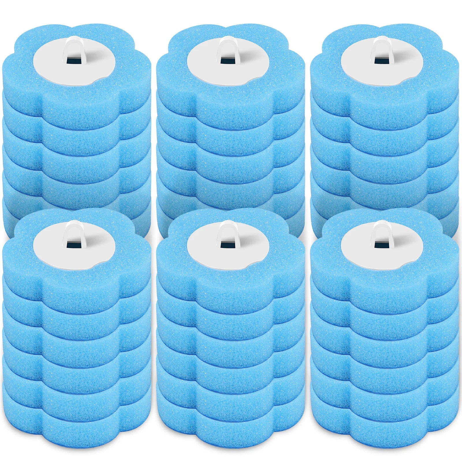 Disposable Toilet Cleaning System and Refills