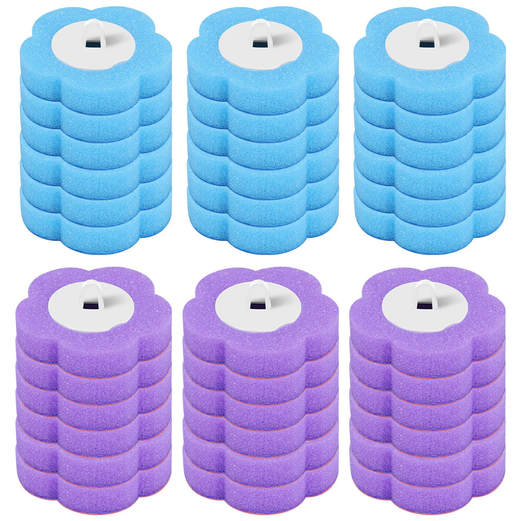 Disposable Toilet Cleaning System and Refills
