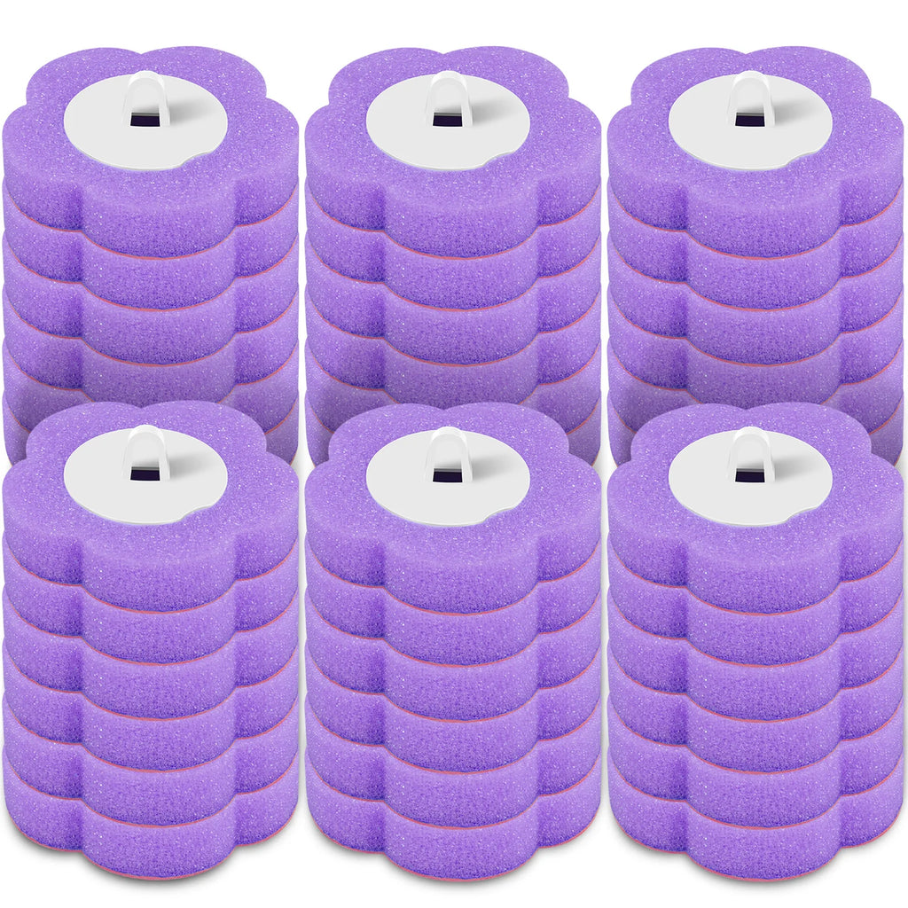 Disposable Toilet Cleaning System and Refills