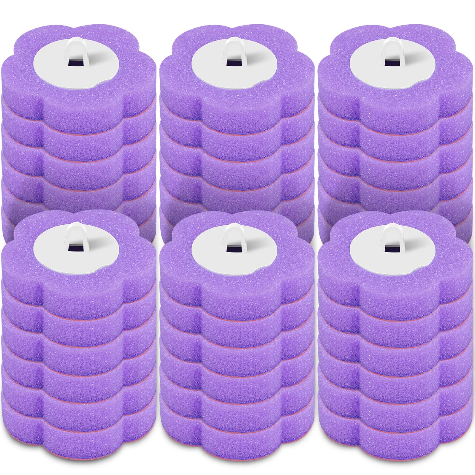 Disposable Toilet Cleaning System and Refills